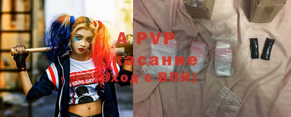 сатива Белоозёрский