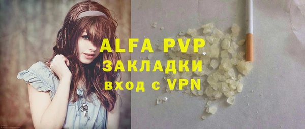 сатива Белоозёрский