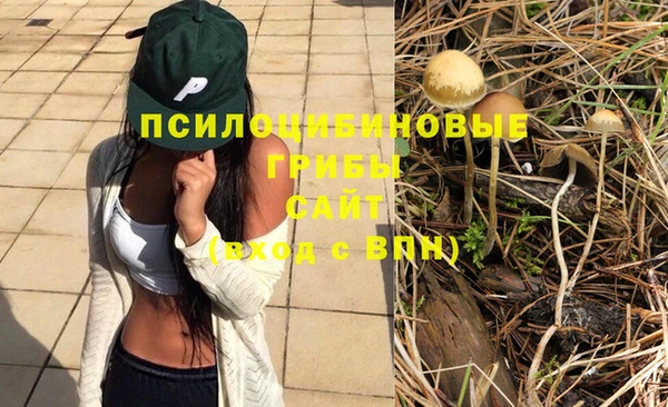 мескалин Балахна