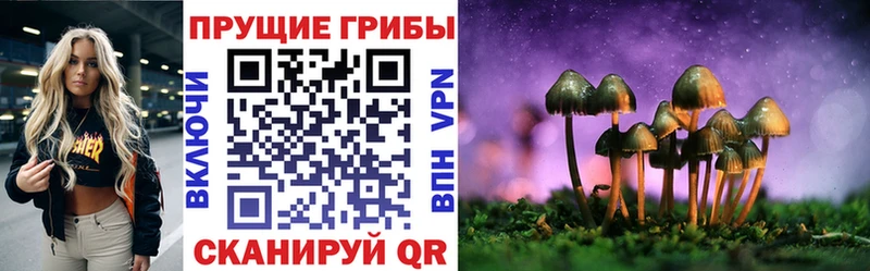 Галлюциногенные грибы ЛСД  МЕГА сайт  Куртамыш 